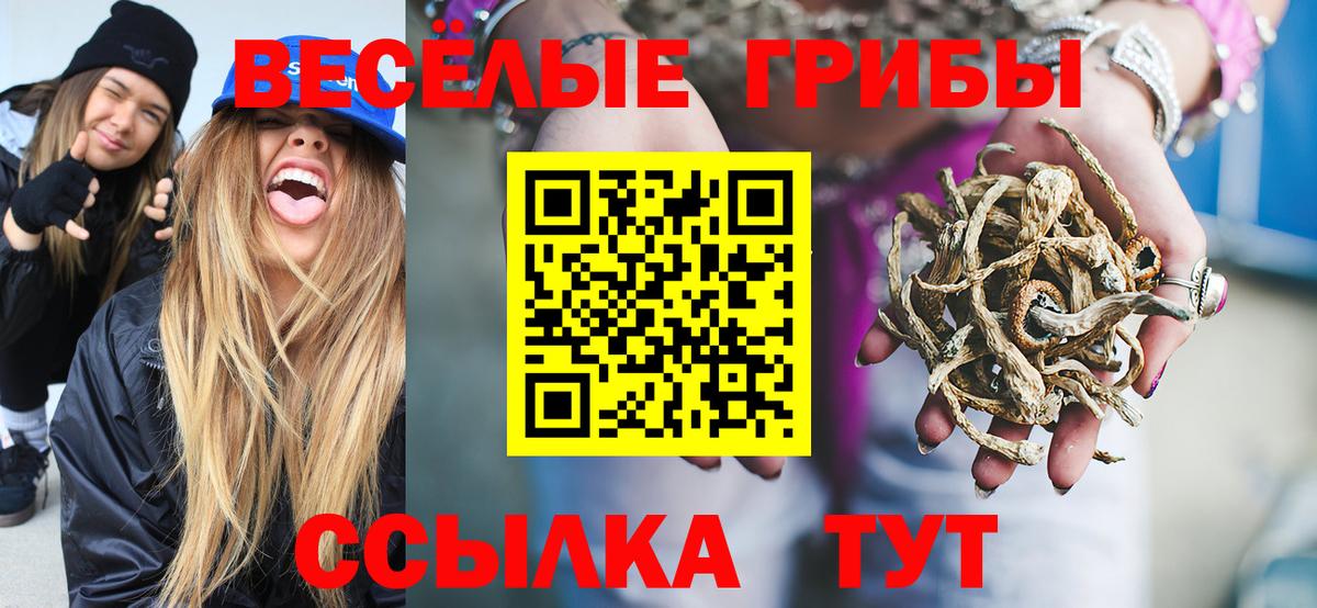 Галлюциногенные грибы Psilocybe  Вход с VPN  как найти   Нижневартовск  Псилоцибиновые грибы мухоморы 